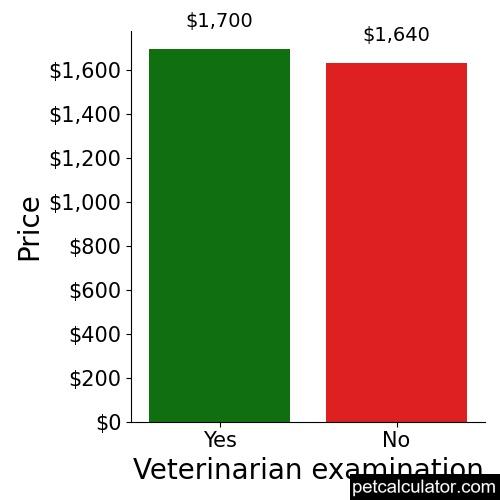 Price of Yorkipoo by Veterinarian examination 
