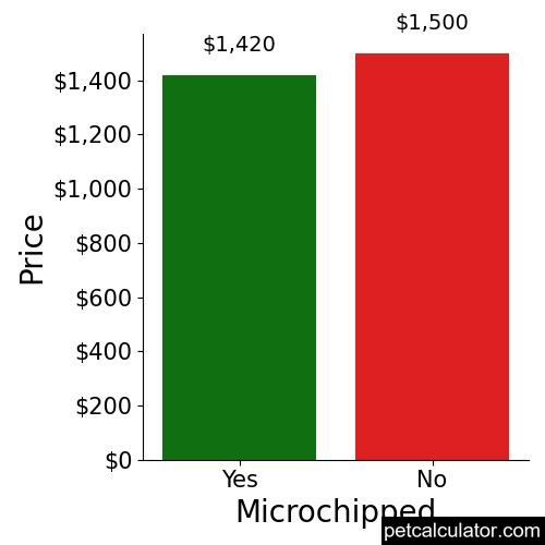 Price of Pyredoodle by Microchipped 