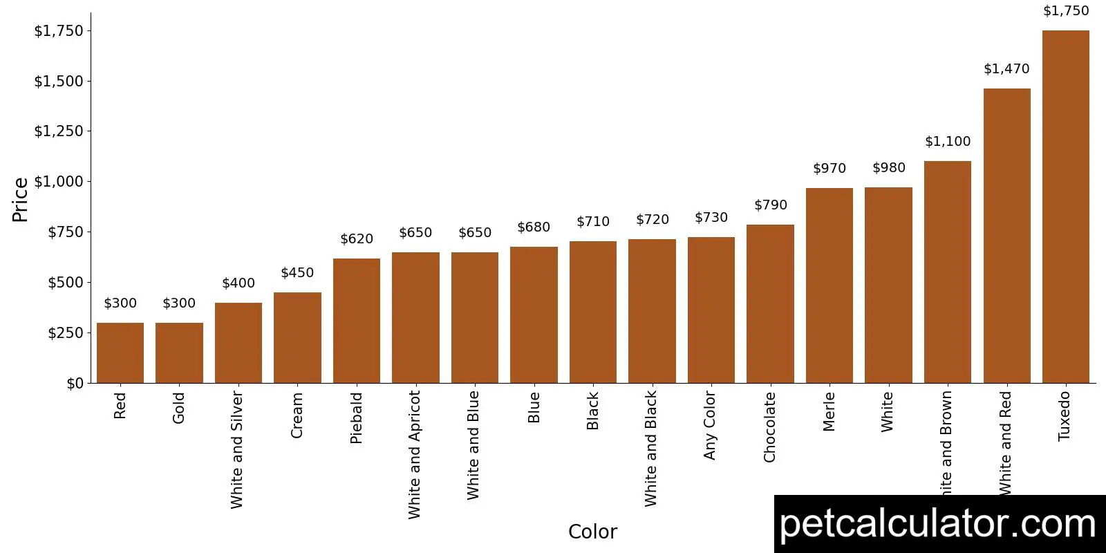 Price of Rat Terrier by Color 