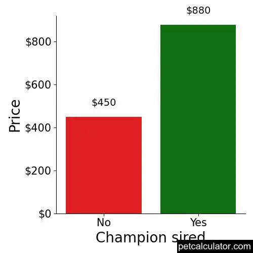 Price of Redbone Coonhound by Champion sired 