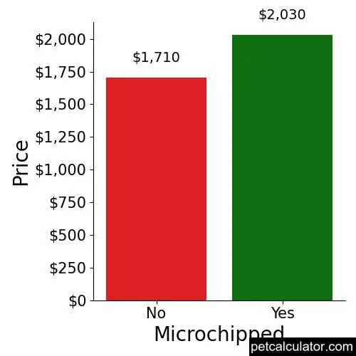 Price of Rottweiler by Microchipped 
