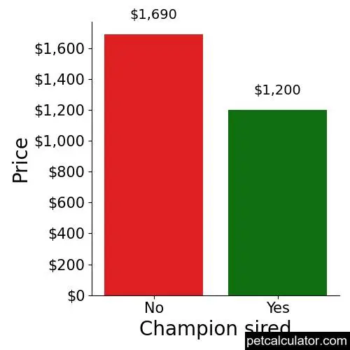 Price of Saint Berdoodle by Champion sired 