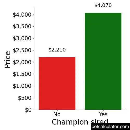 Price of Samoyed by Champion sired 