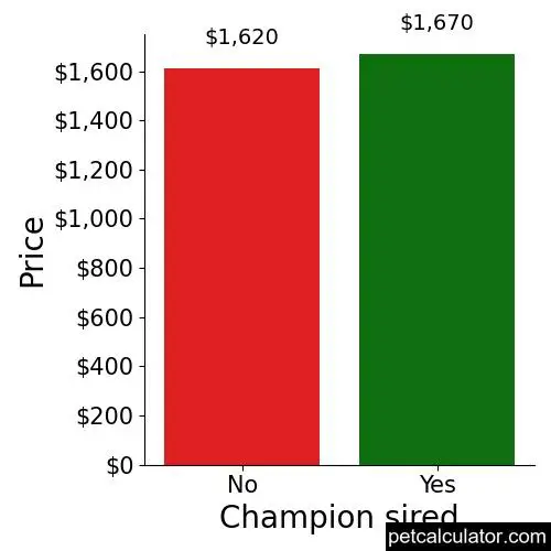Price of Scottish Terrier by Champion sired 