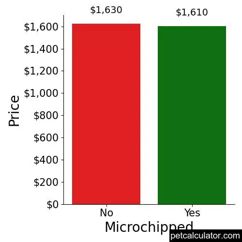 Price of Scottish Terrier by Microchipped 