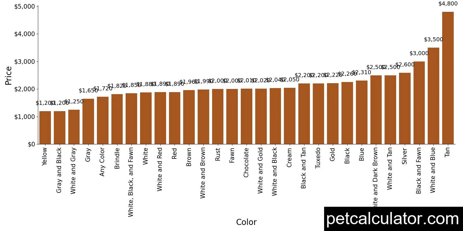Price of Shih Tzu by Color 