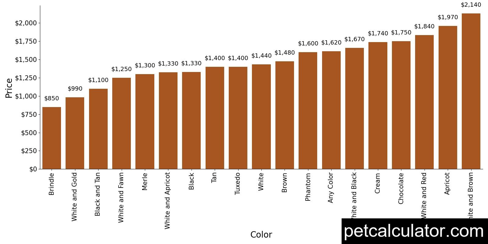 Price of Shihpoo by Color 