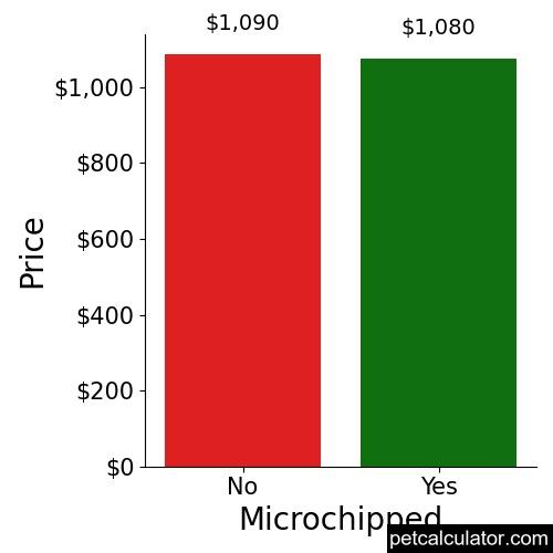 Price of Shinese by Microchipped 