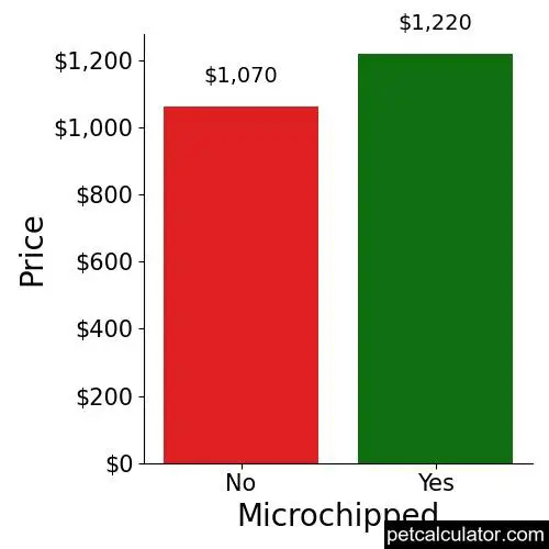 Price of Siberian Husky by Microchipped 