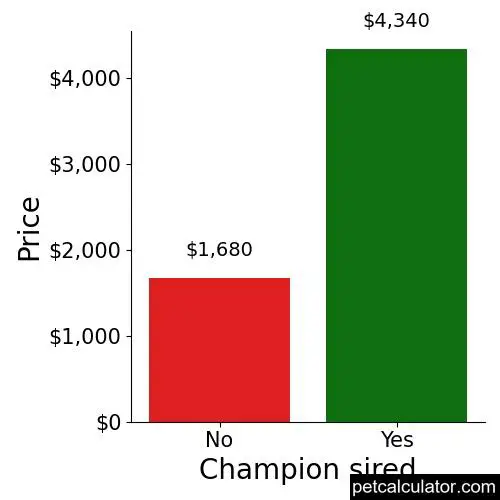 Price of Soft Coated Wheaten Terrier by Champion sired 