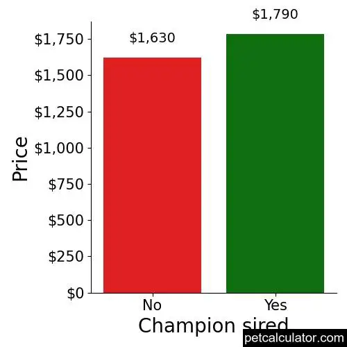 Price of Standard Schnauzer by Champion sired 