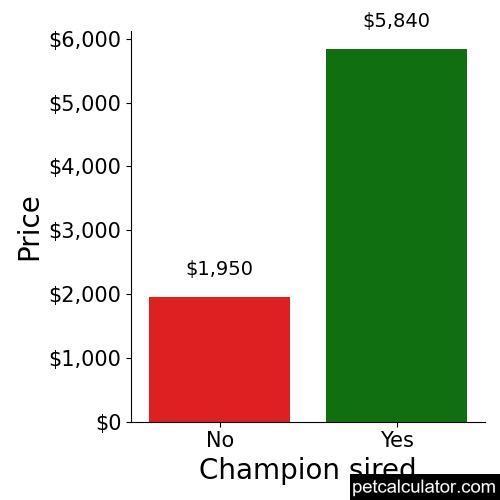 Price of Thai Ridgeback by Champion sired 
