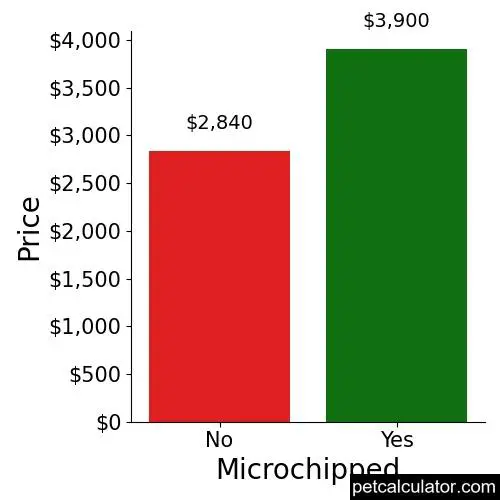 Price of Tibetan Mastiff by Microchipped 