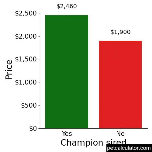 Price of Tibetan Terrier by Champion sired 