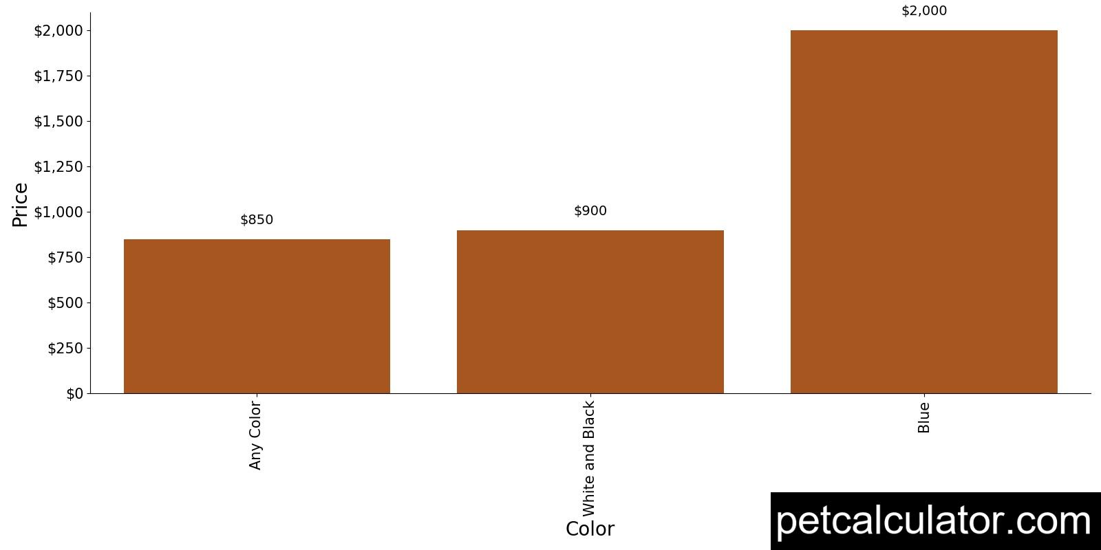 Price of Toy Dachshund by Color 