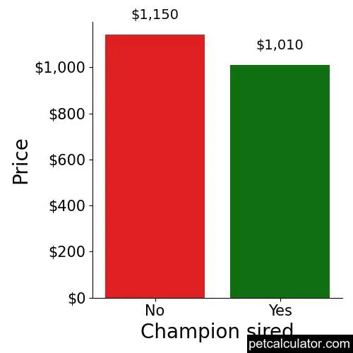 Price of Toy Fox Terrier by Champion sired 