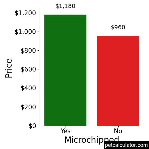 Price of Weimaraner by Microchipped 