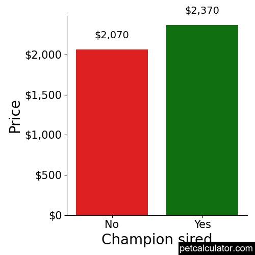 Price of Whippet by Champion sired 