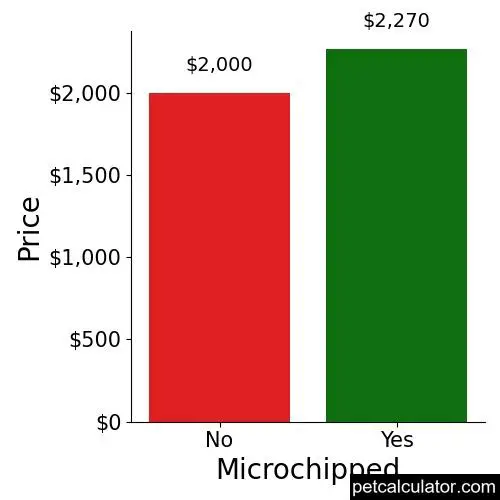 Price of Whoodle by Microchipped 