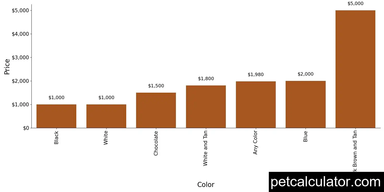 Price of Xoloitzcuintli by Color 