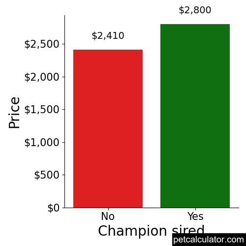 Price of Yorkshire Terrier by Champion sired 