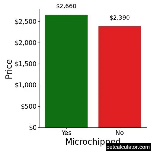 Price of Yorkshire Terrier by Microchipped 