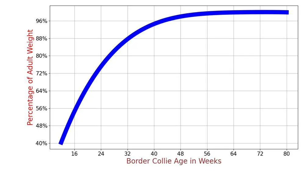 Border Collie Growth Chart. Border Collie Weight Calculator.