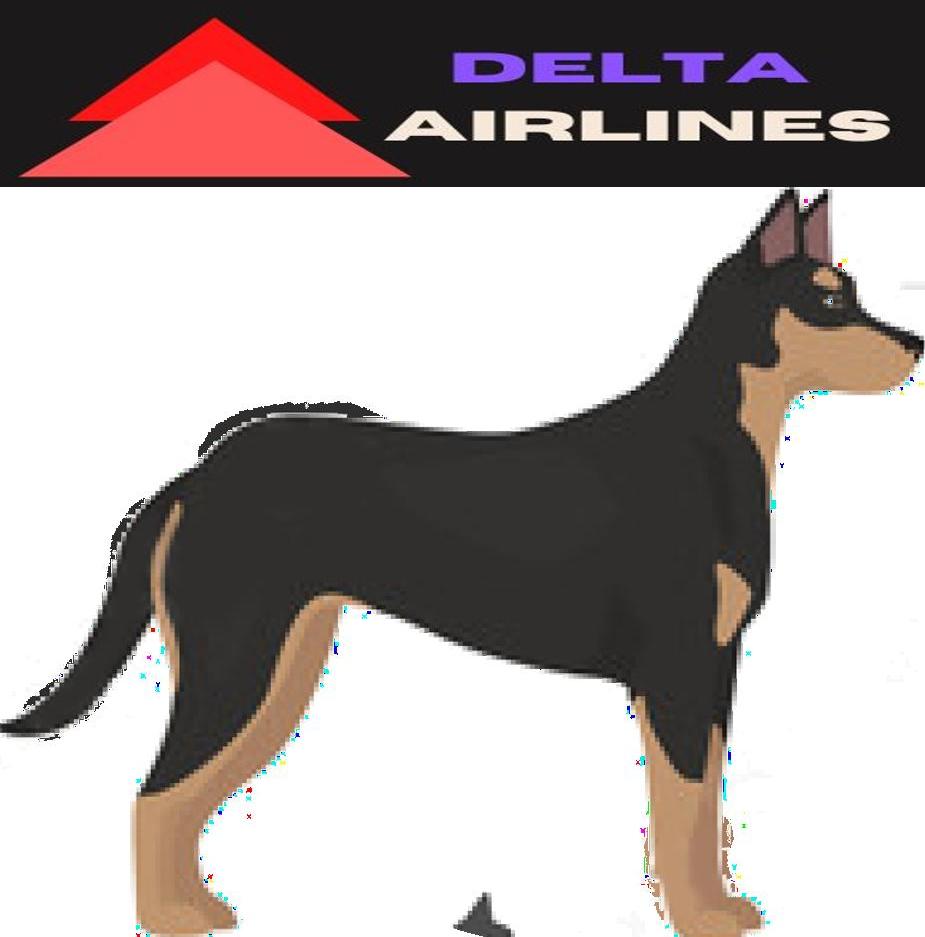 How to Travel with Australian Kelpie on an Airplane (Travel Crate Size