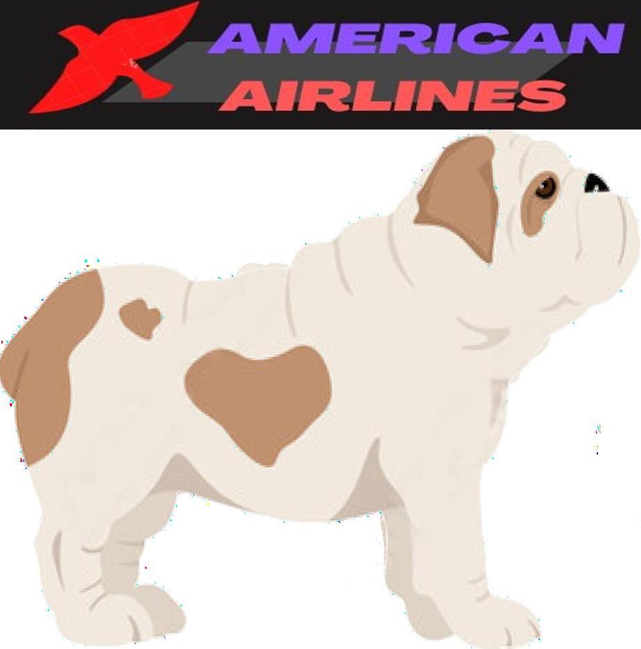 Can you Fly with Bulldog on an Airplane?