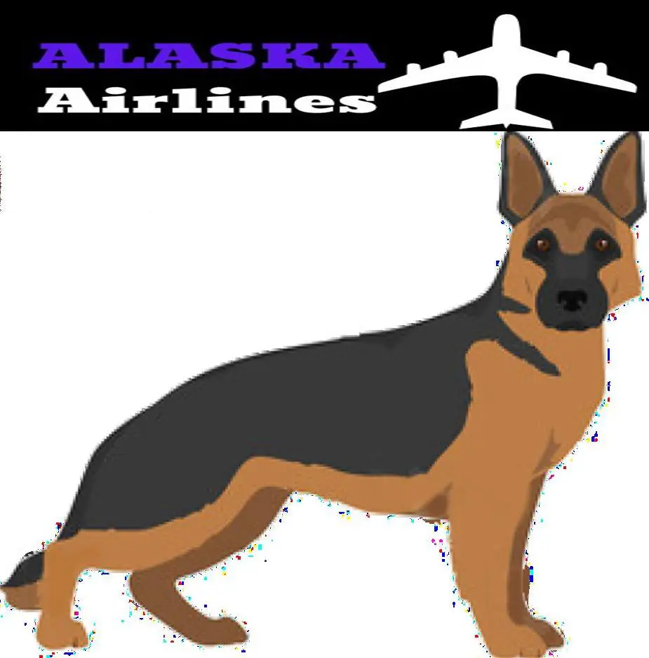 dog image and alaska Airlines Logo