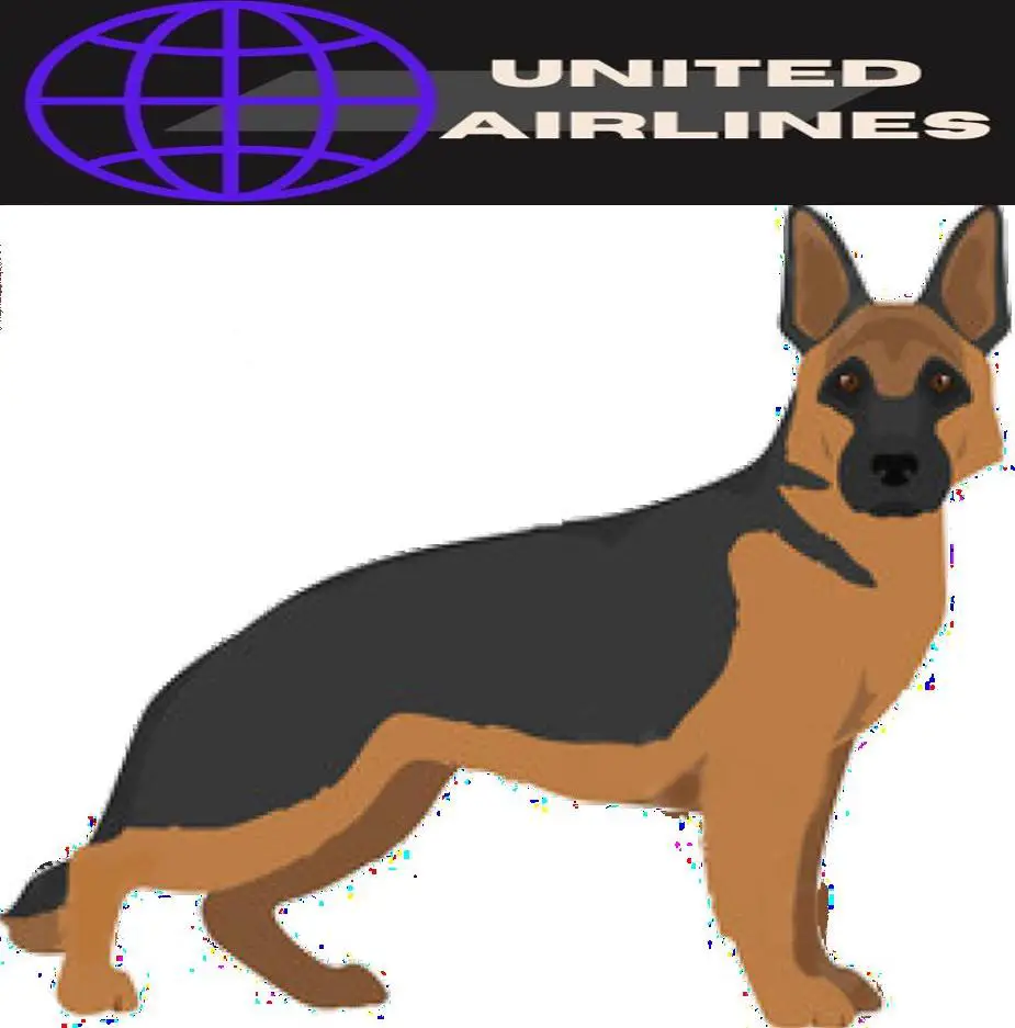 dog image and united Airlines Logo
