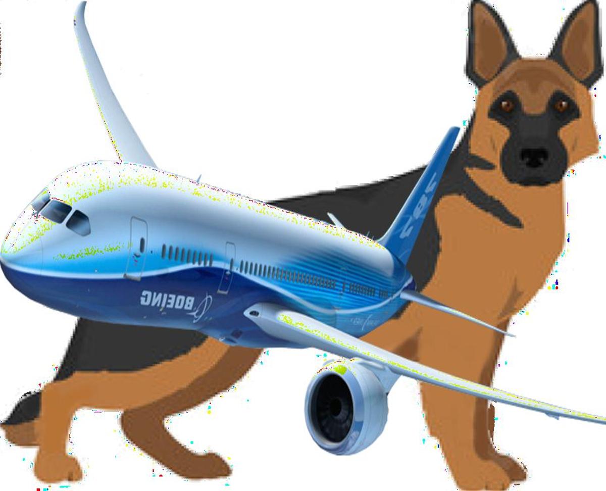 how-to-travel-with-dog-on-an-airplane-travel-crate-size-calculator