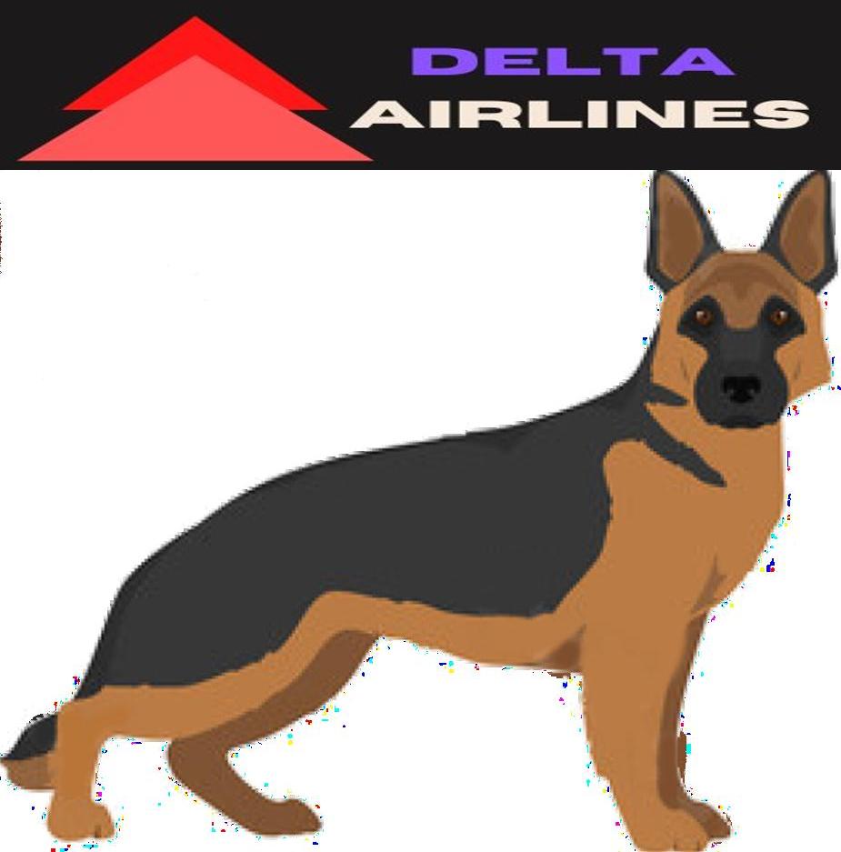 How to Travel with German Shepherd Dog on an Airplane (Travel Crate