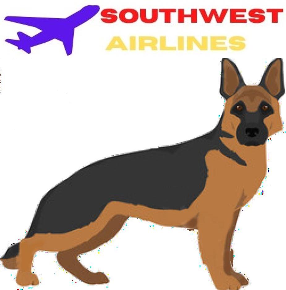 How to Travel with German Shepherd Dog on an Airplane (Travel Crate Size Calculator)