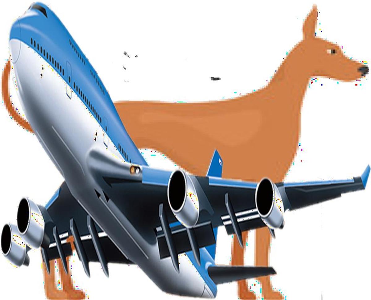 How to Travel with Hound on an Airplane (Travel Crate Size