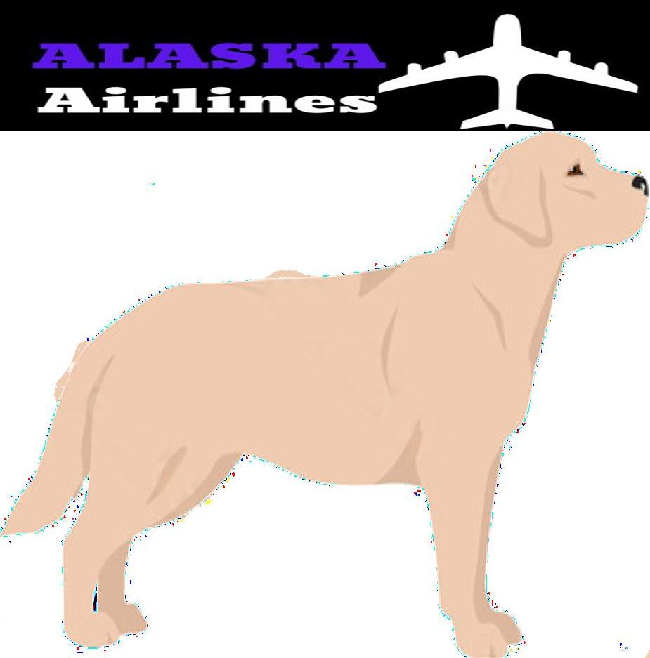 How to Travel with Labrador Retriever on an Airplane (Travel Crate Size