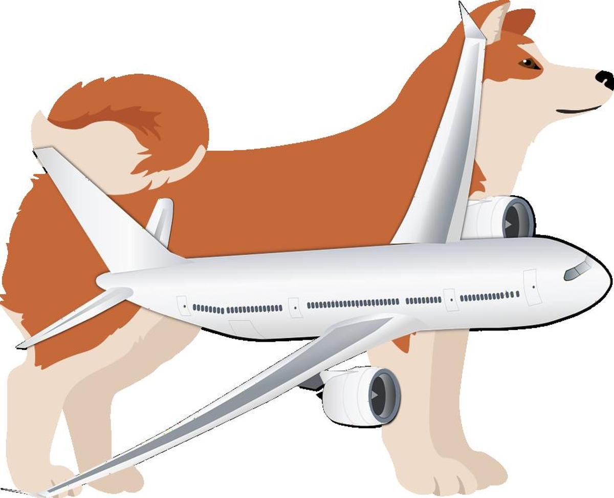 How to Travel with Shiba Inu on an Airplane (Travel Crate Size Calculator)