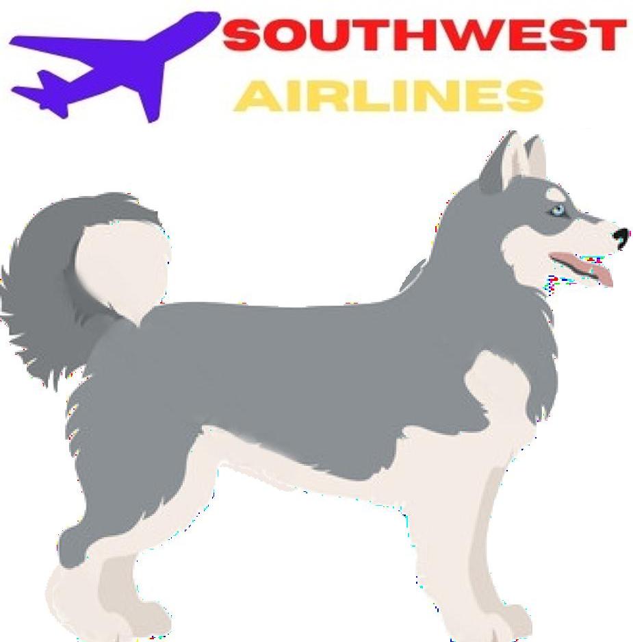How to Travel with Siberian Husky on an Airplane (Travel Crate Size