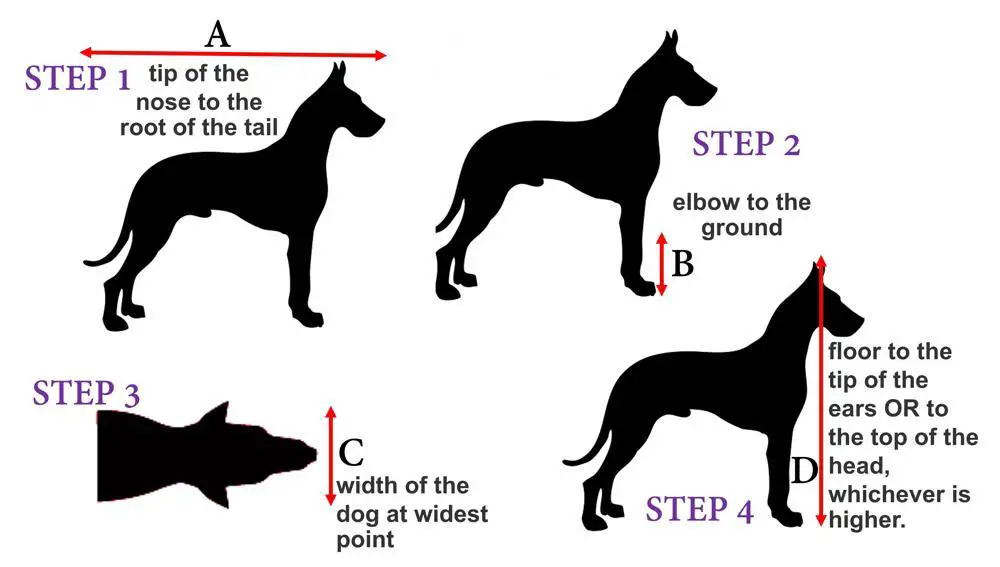 how-to-travel-with-german-shepherd-dog-on-an-airplane-travel-crate