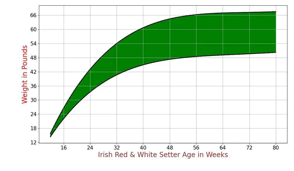 Irish Red & White Setter Weight Curve 